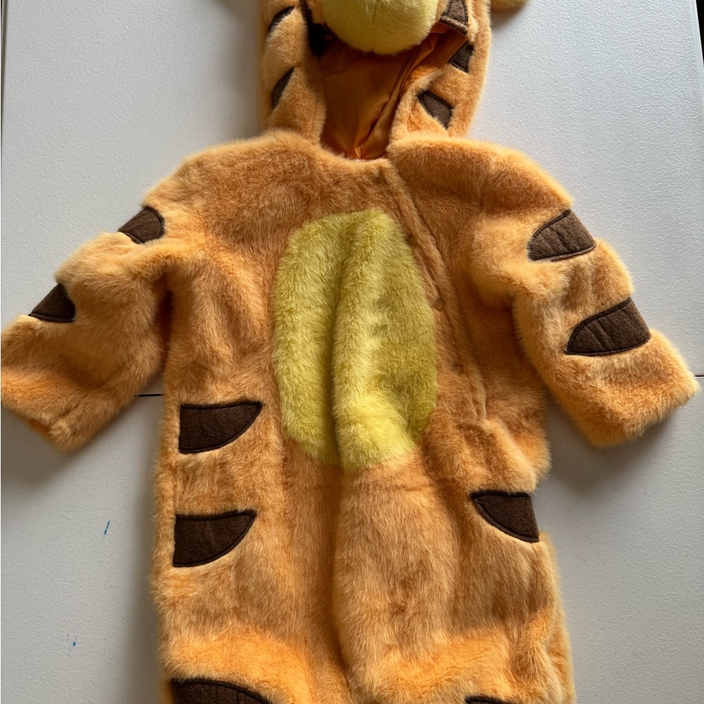 Infant Tiger Costume - Orange and Brown (Pottery Barn) 6-12 M